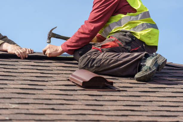 Best Roof Maintenance Services  in Bridgeport, OH