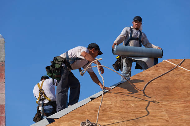 Best Roof Gutter Cleaning  in Bridgeport, OH