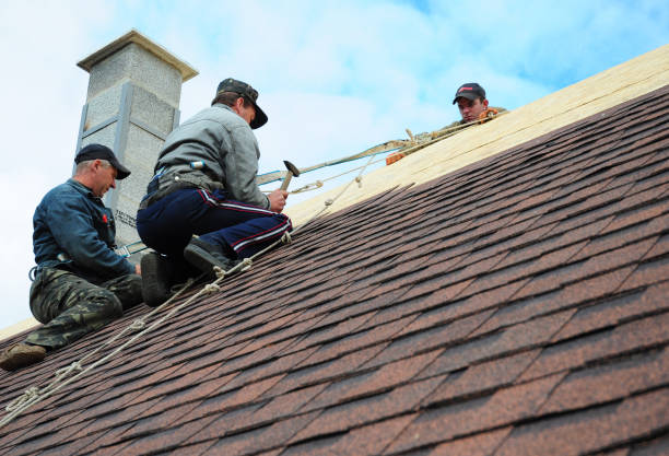 Best New Roof Installation  in Bridgeport, OH